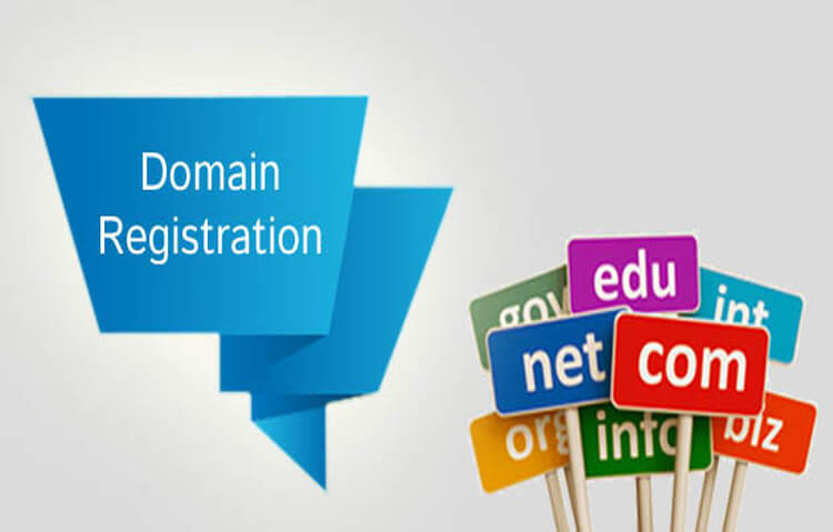 Domain Registration